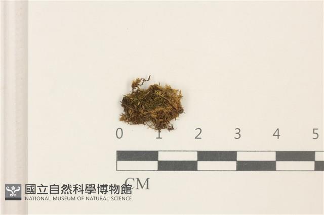 登錄號:B00014643藏品圖，第1張