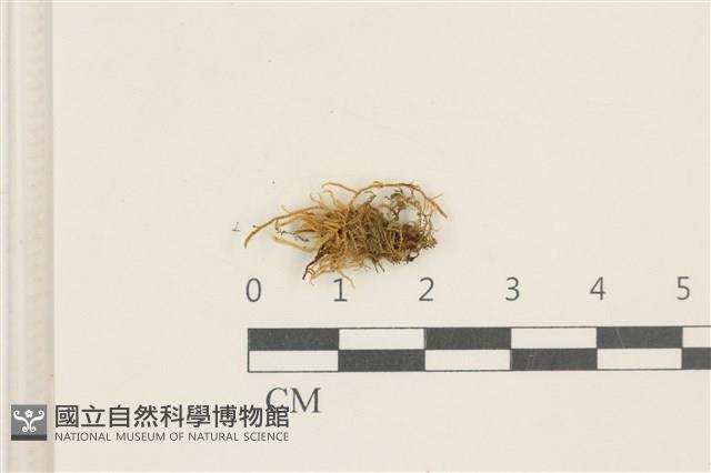 登錄號:B00017643藏品圖，第1張