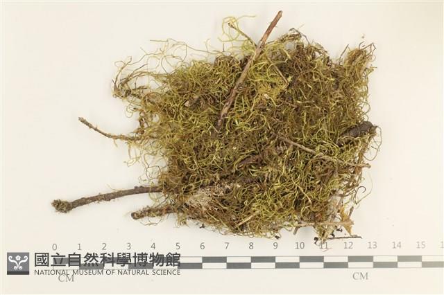 登錄號:B00011643藏品圖，第1張