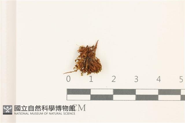 登錄號:B00020643藏品圖，第1張