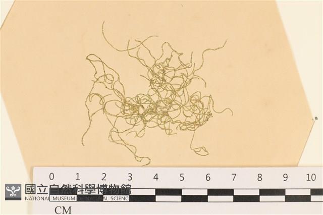 登錄號:A00003643藏品圖，第1張