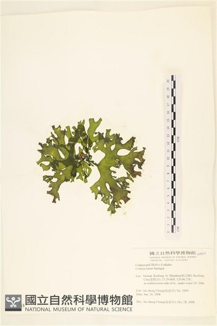 登錄號:A00006043藏品圖，第3張