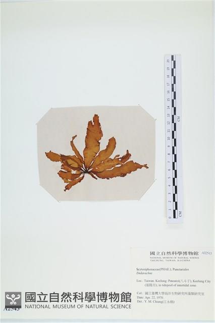 登錄號:A00002543藏品圖，第3張