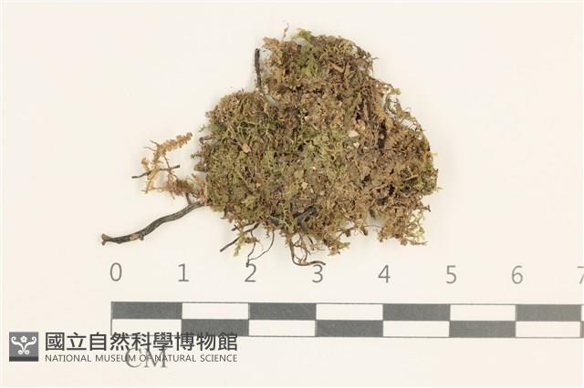 登錄號:B00001543藏品圖，第1張