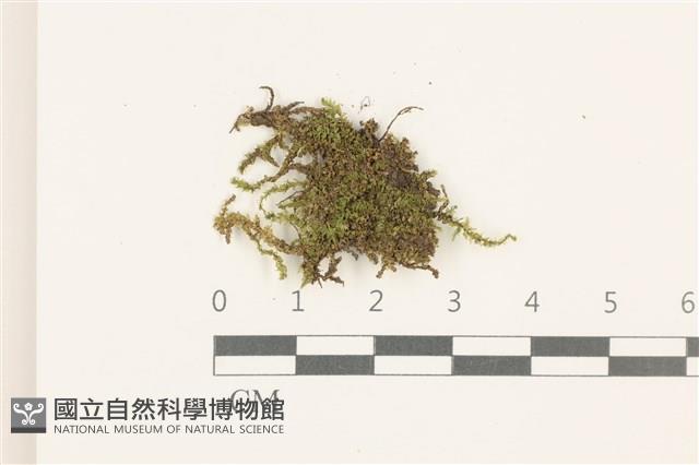 登錄號:B00014443藏品圖，第1張