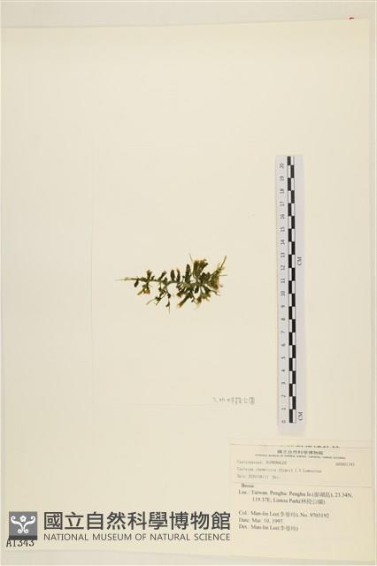 登錄號:A00001343藏品圖，第3張