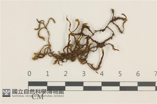 登錄號:B00018663藏品圖，第1張