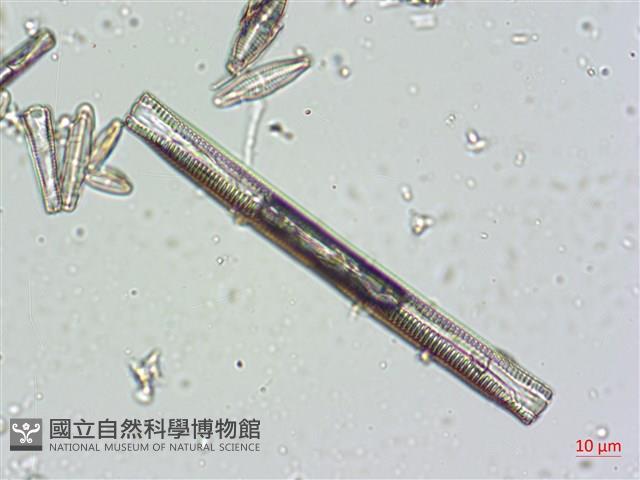 登錄號:A00004663藏品圖，第4張