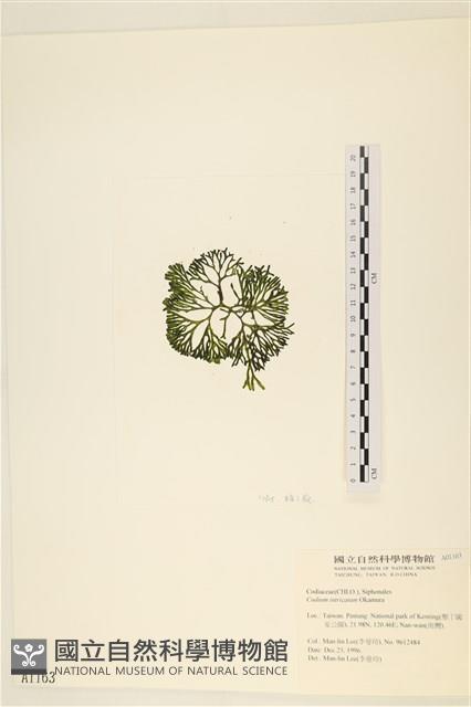 登錄號:A00001163藏品圖，第3張