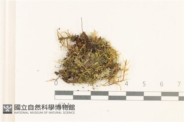 登錄號:B00017563藏品圖，第1張