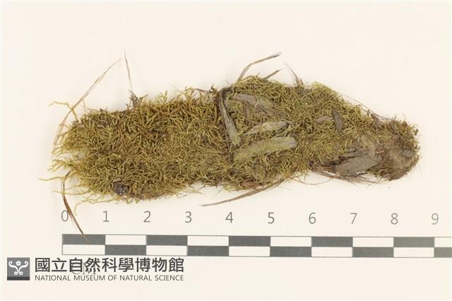 登錄號:B00015563藏品圖，第1張