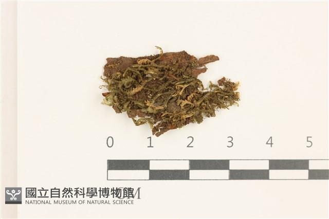 登錄號:B00019763藏品圖，第1張