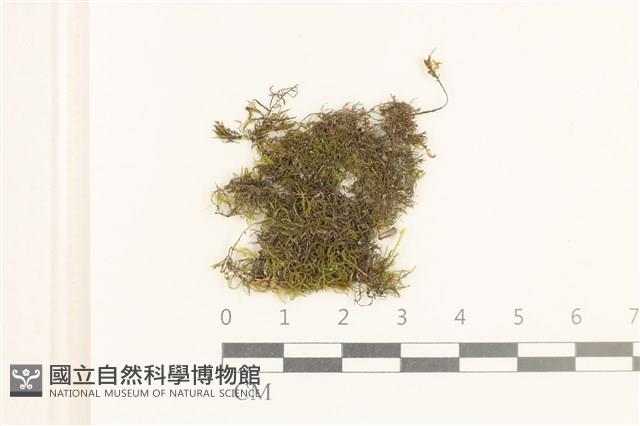 登錄號:B00008603藏品圖，第1張