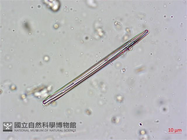 登錄號:A00004603藏品圖，第4張
