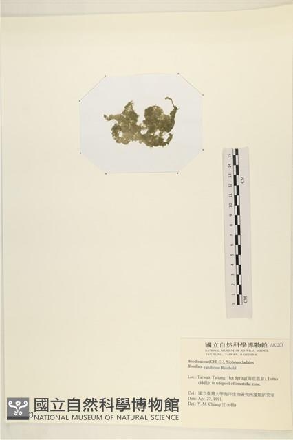 登錄號:A00002203藏品圖，第3張