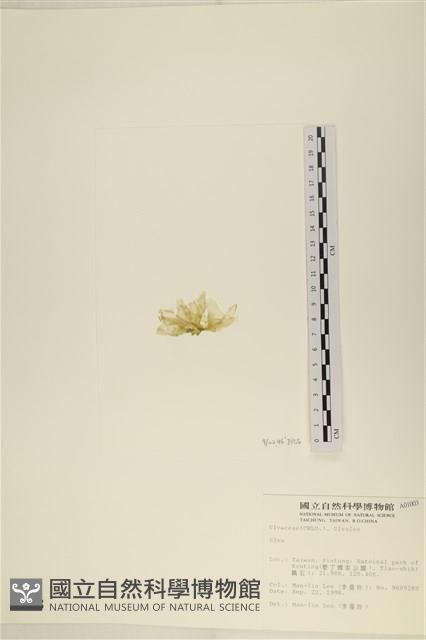 登錄號:A00001003藏品圖，第3張