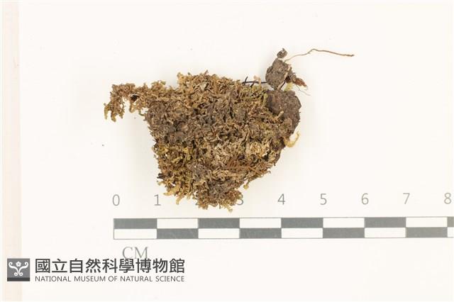 Accession Number:B00015103 Collection Image, Figure 1, Total 2 Figures