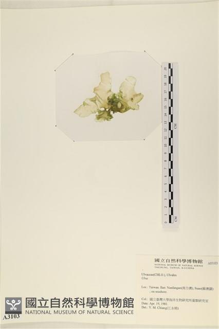登錄號:A00003103藏品圖，第1張