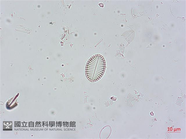 登錄號:A00004503藏品圖，第4張