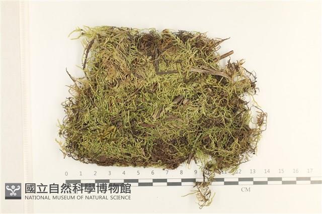 登錄號:B00012403藏品圖，第1張