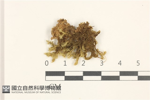 登錄號:B00000403藏品圖，第1張