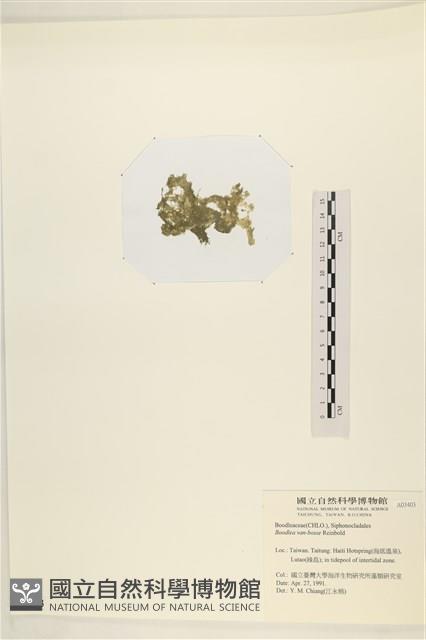 登錄號:A00003403藏品圖，第3張