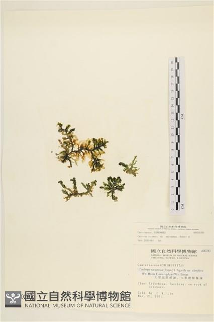 Accession Number:A00000283 Collection Image, Figure 1, Total 2 Figures