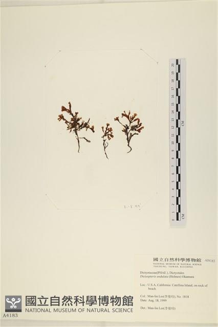 登錄號:A00004183藏品圖，第3張