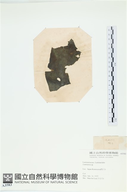 登錄號:A00003583藏品圖，第3張