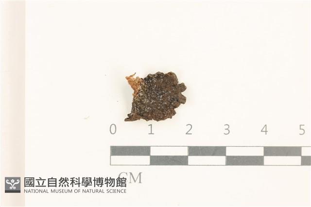 登錄號:B00019483藏品圖，第1張