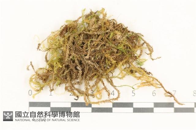 登錄號:B00009383藏品圖，第1張