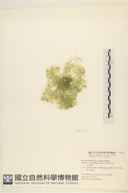 登錄號:A00001383藏品圖，第3張