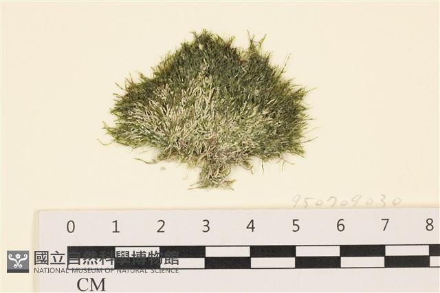 登錄號:A00005783藏品圖，第1張