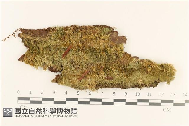 登錄號:B00010783藏品圖，第1張