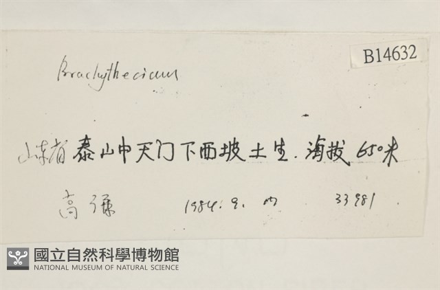登錄號:B00014632藏品圖，第2張