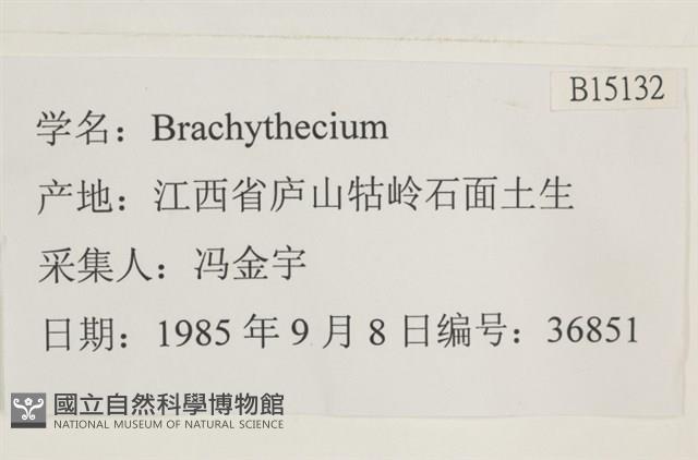 登錄號:B00015132藏品圖，第2張