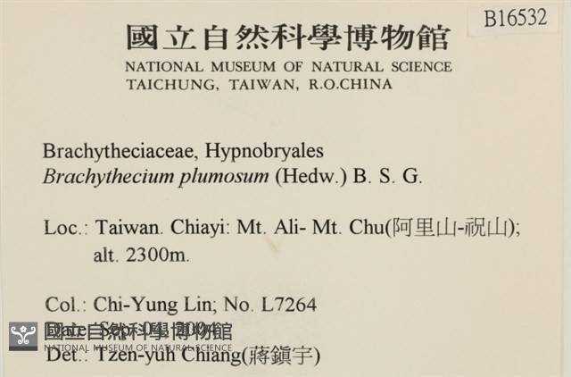 羽枝青蘚藏品圖，第2張