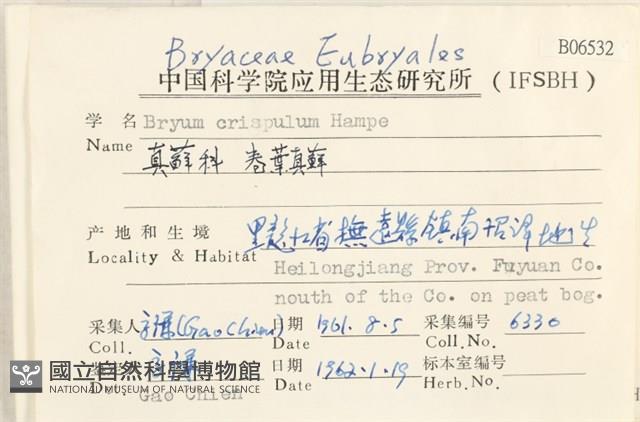 卷葉真蘚藏品圖，第2張