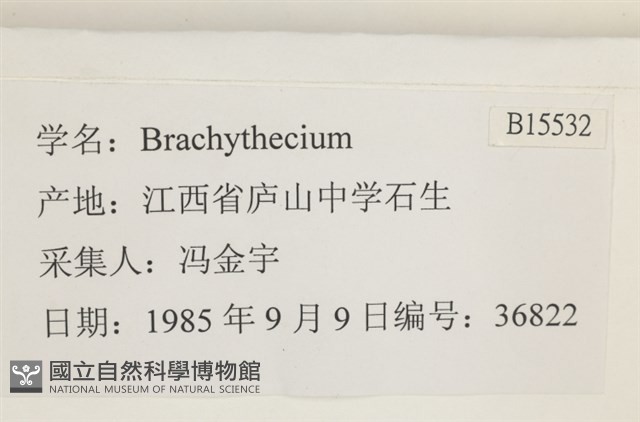 登錄號:B00015532藏品圖，第2張