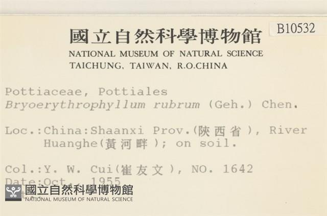 登錄號:B00010532藏品圖，第2張