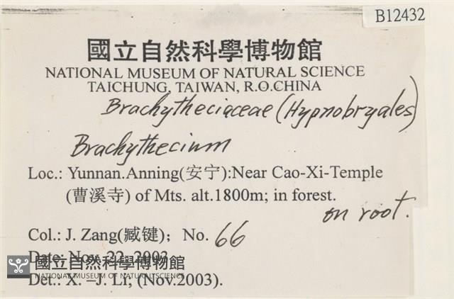 登錄號:B00012432藏品圖，第2張