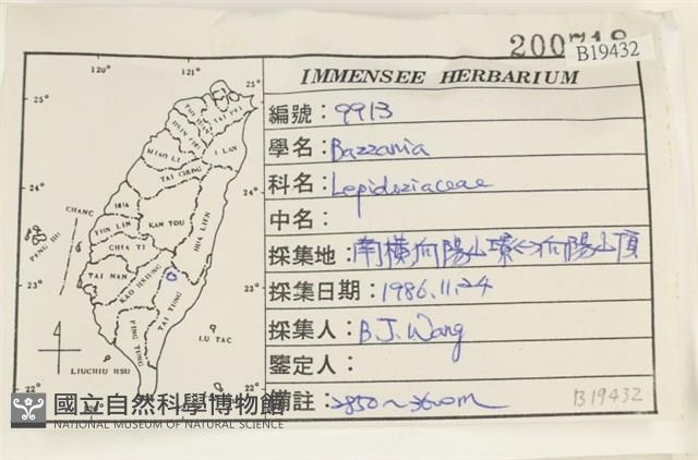 登錄號:B00019432藏品圖，第2張
