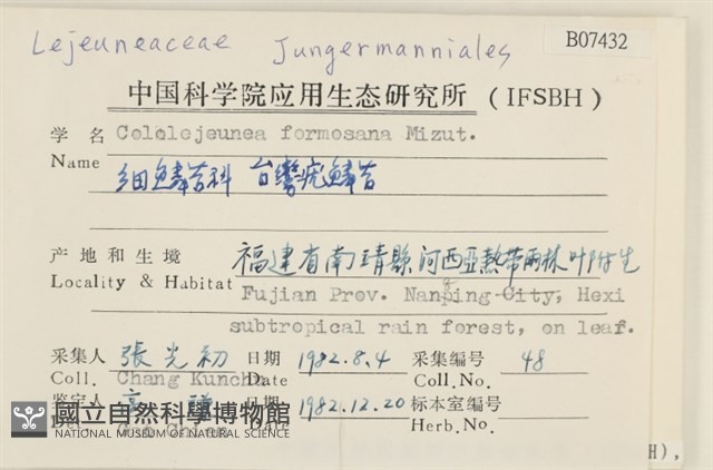 臺灣疣鱗苔藏品圖，第2張