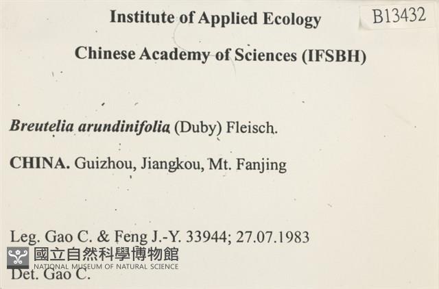 大熱澤蘚藏品圖，第2張