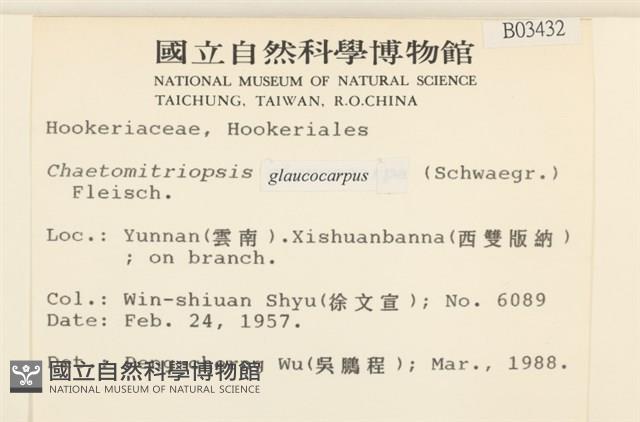 灰果蘚藏品圖，第2張