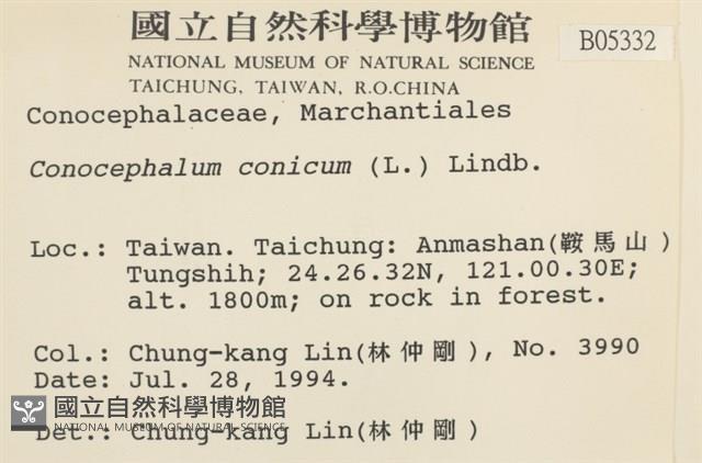 蛇苔藏品圖，第2張