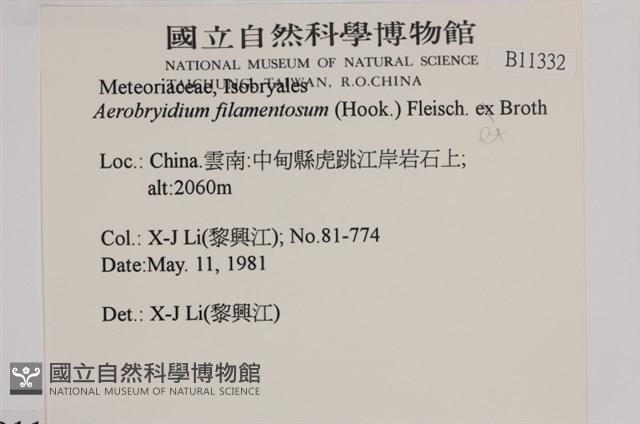 毛扭蘚藏品圖，第2張