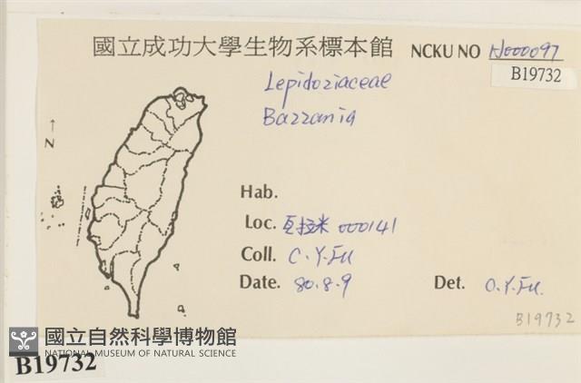 登錄號:B00019732藏品圖，第2張