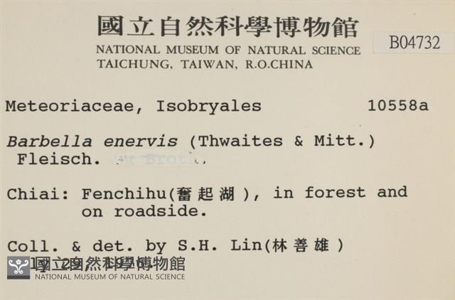 登錄號:B00004732藏品圖，第2張