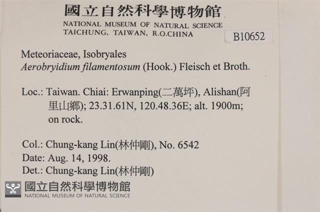 毛扭蘚藏品圖，第2張